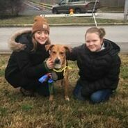 Jennifer Dittelberger